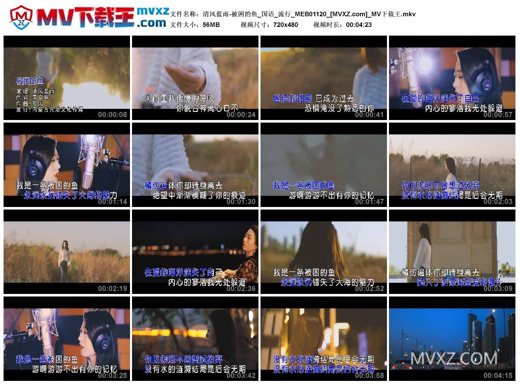 清风蓝雨-被困的鱼_国语_流行_MEB01120